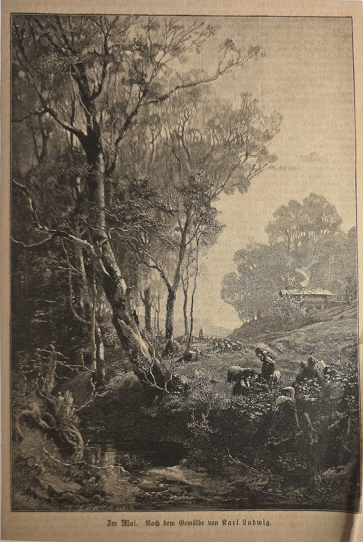 Waldlandschaft mit schmalem Weg