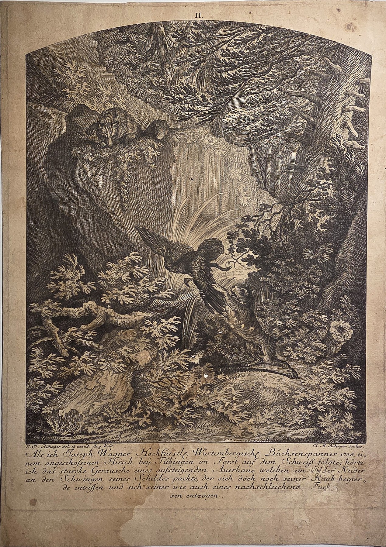 Einsiedler in felsiger Waldlandschaft