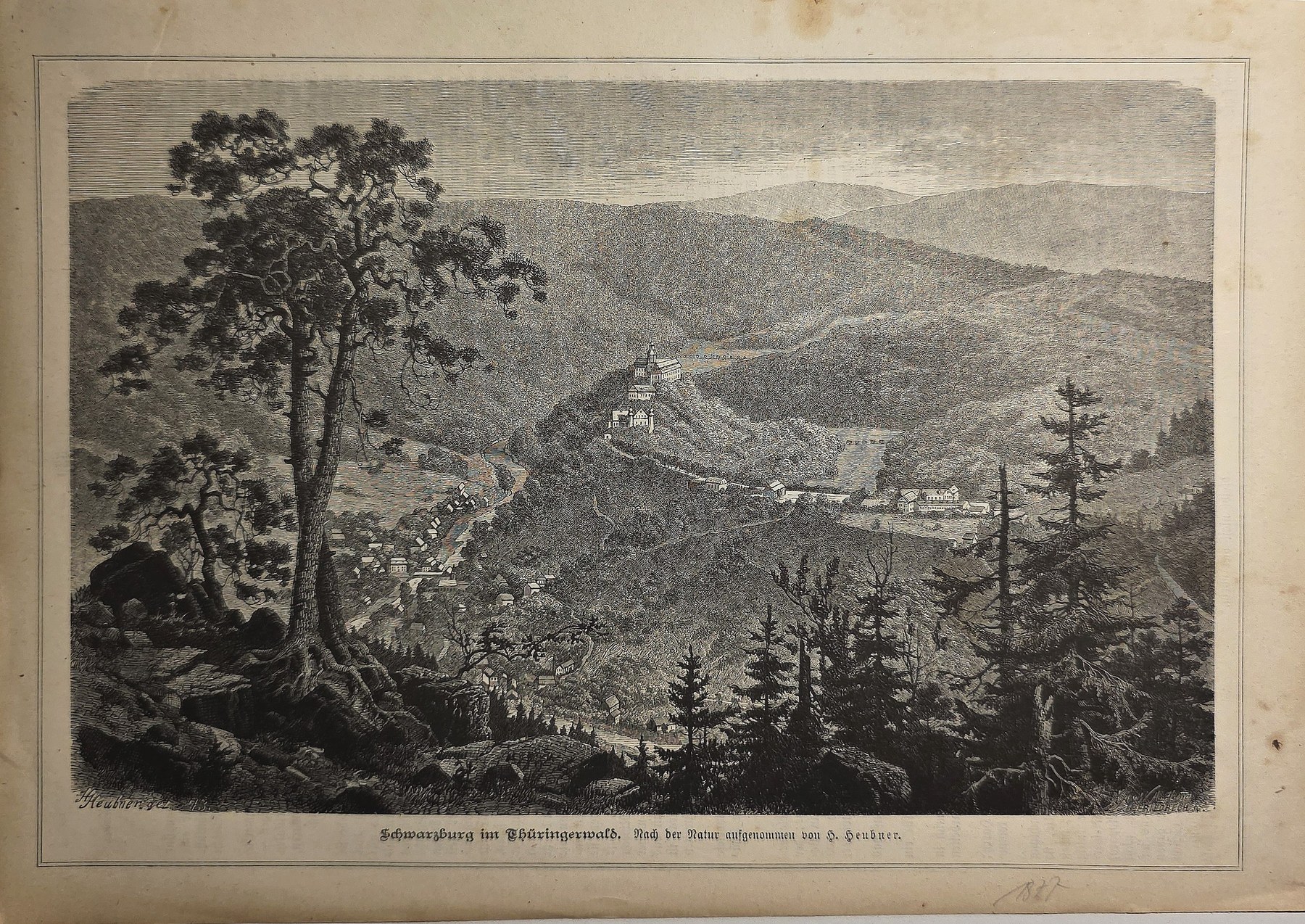 Weite bewaldete Berglandschaft mit Talblick