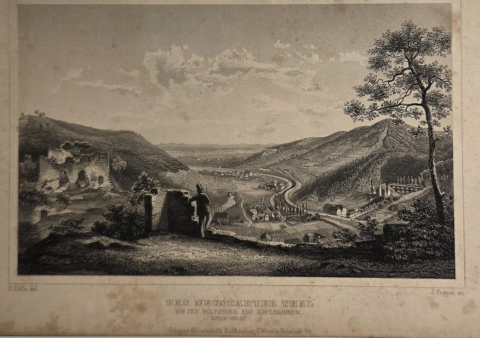 Panoramablick über ein weites Tal mit Anhöhen