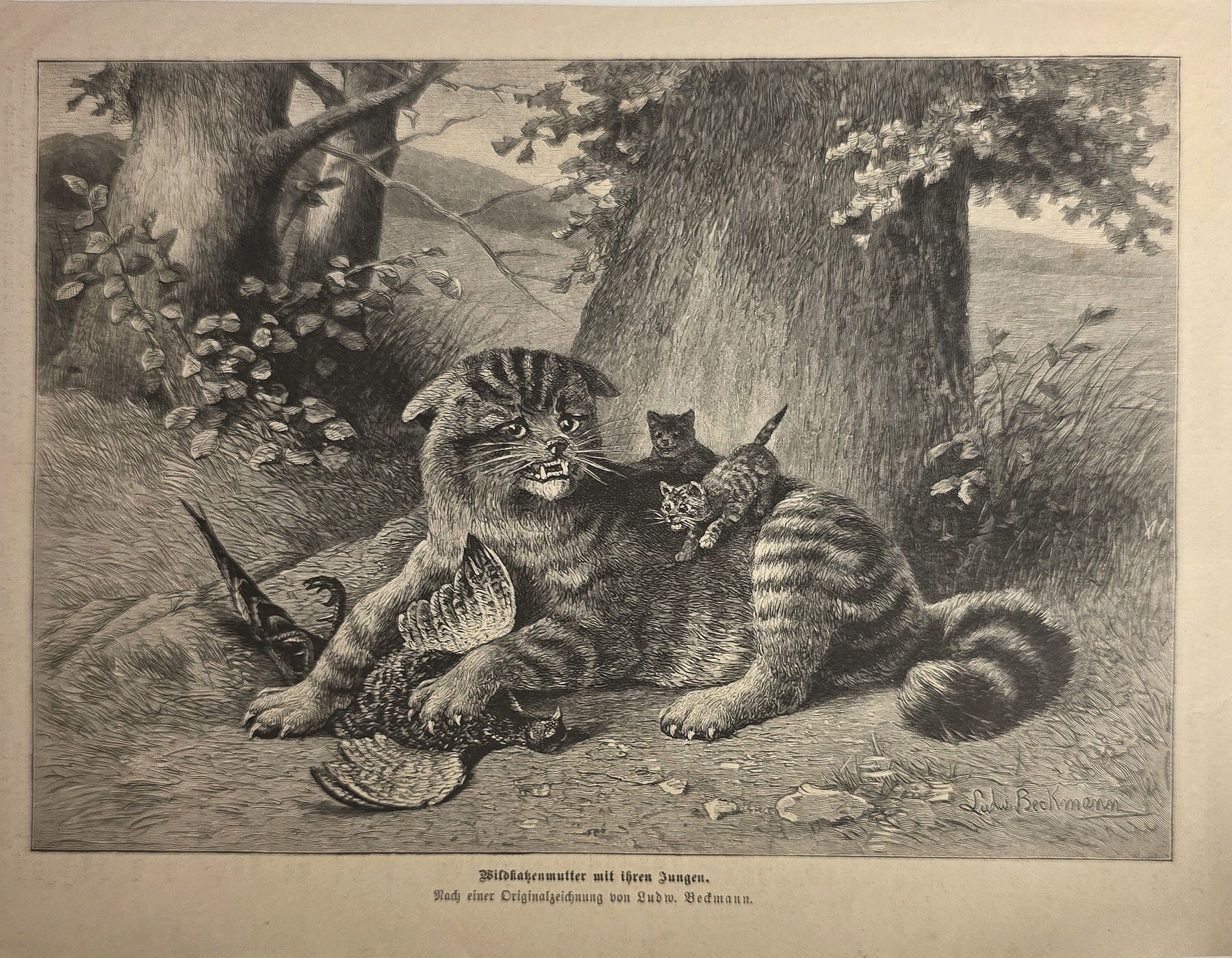 Historische Darstellung – Zwei Katzen am Baumstamm