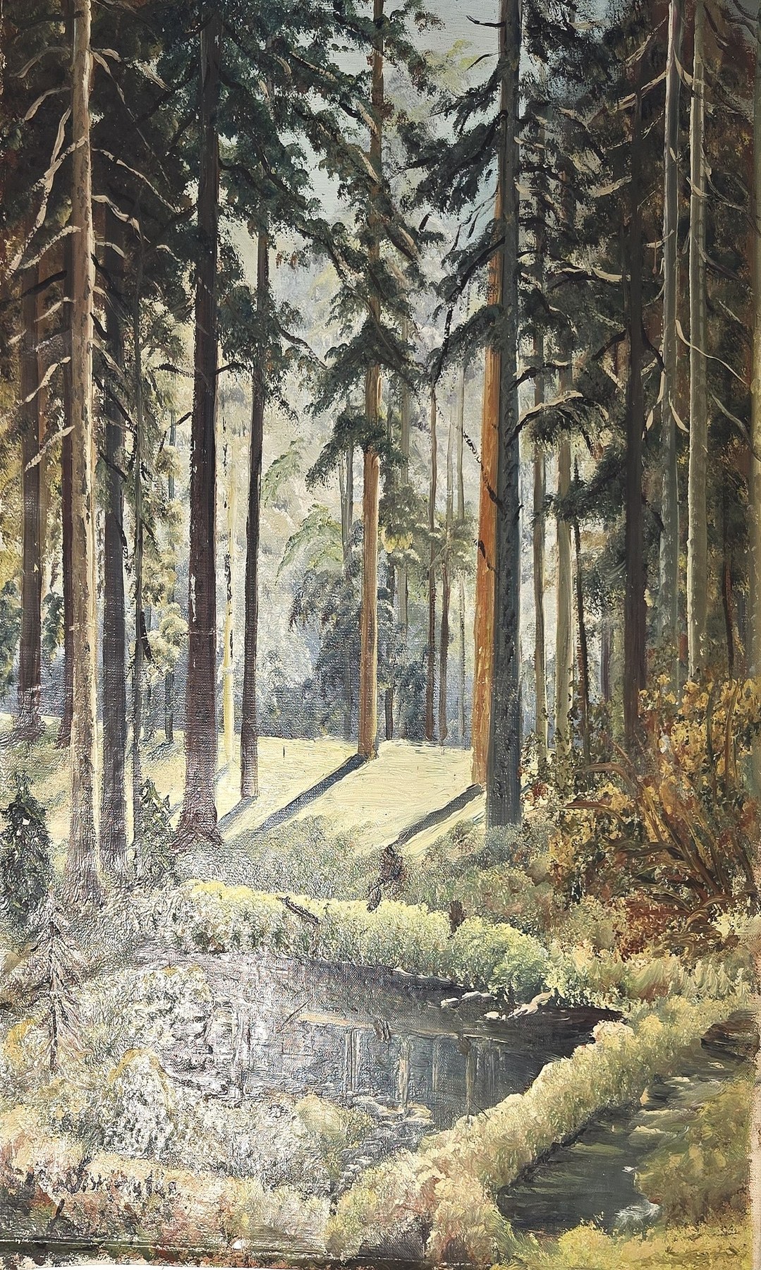 Waldlandschaft mit Bachlauf und hohen Baumstämmen