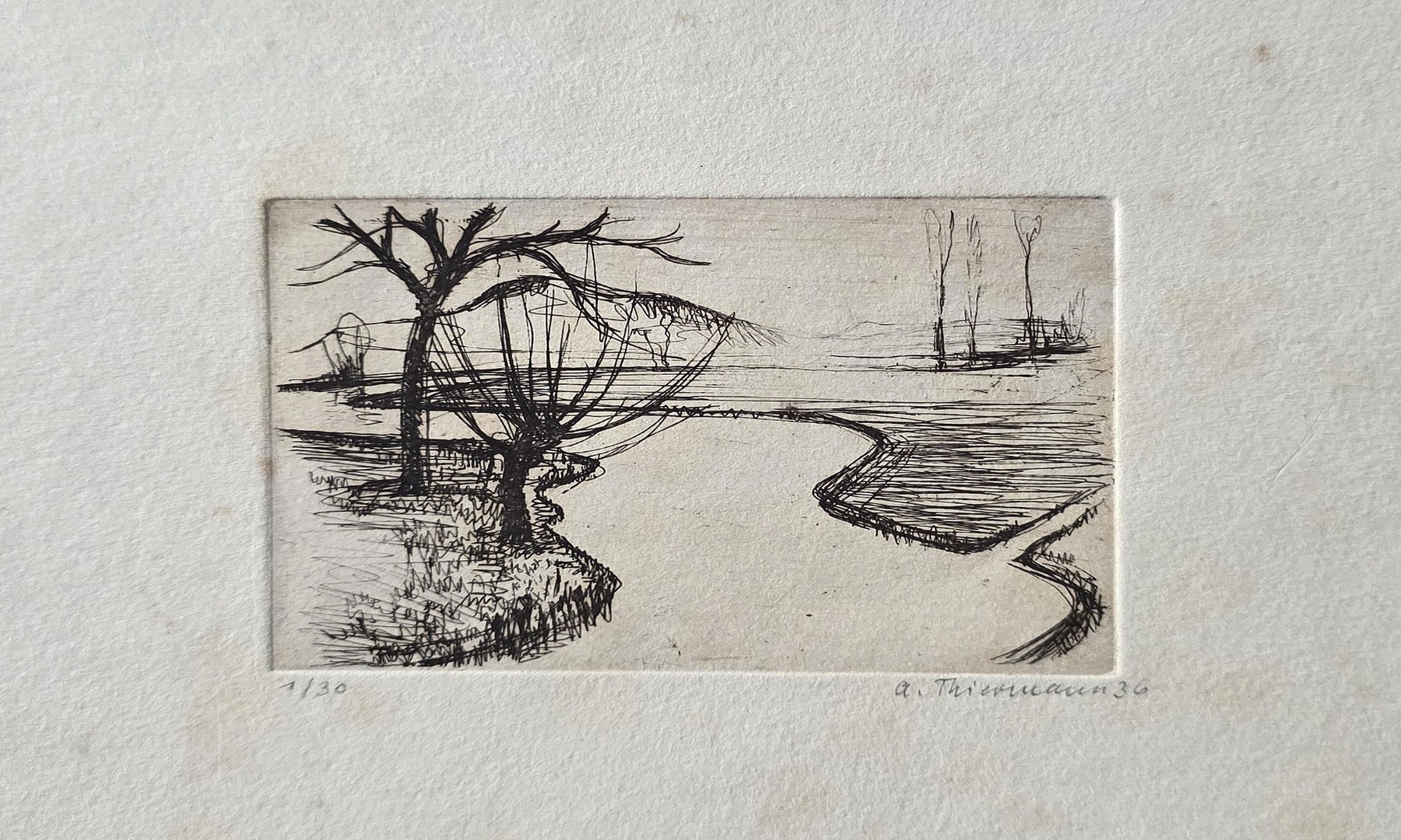 Uferlandschaft mit kahlem Baum