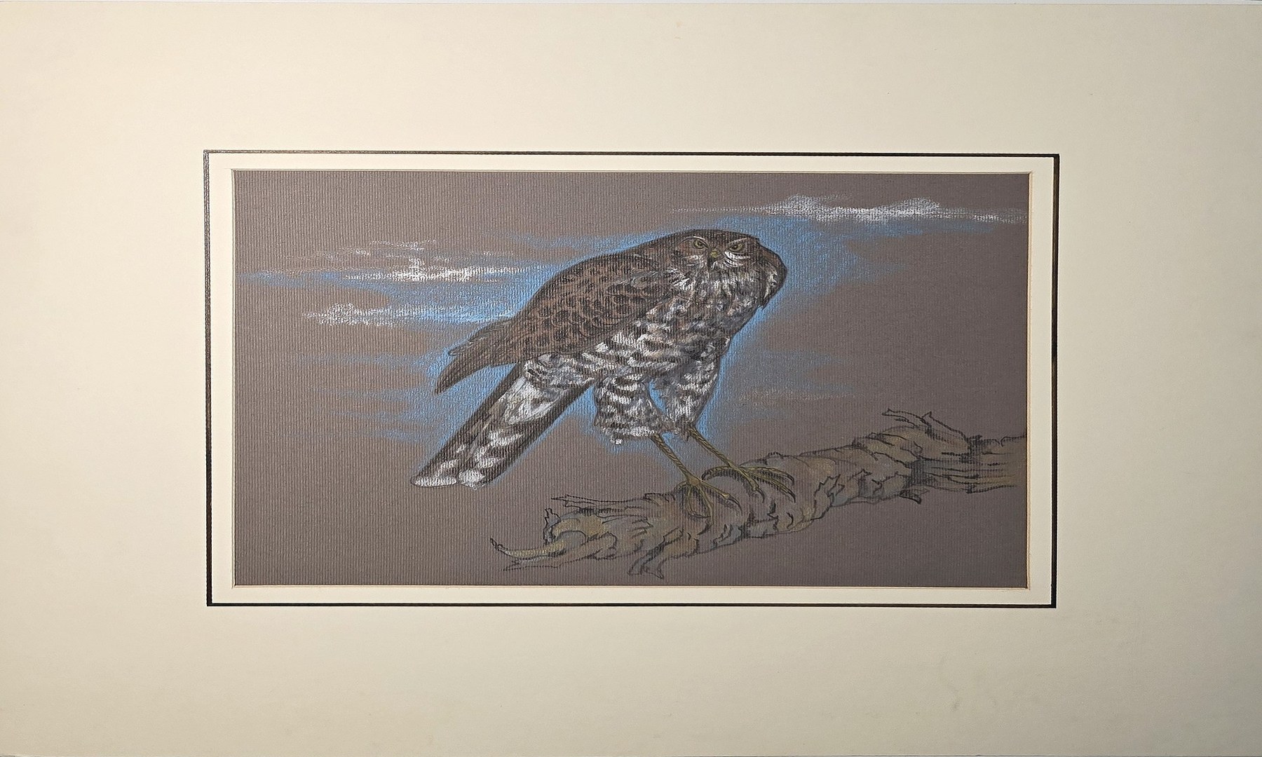 Historische Darstellung – Greifvogel auf Ast vor blauem Abendgrund