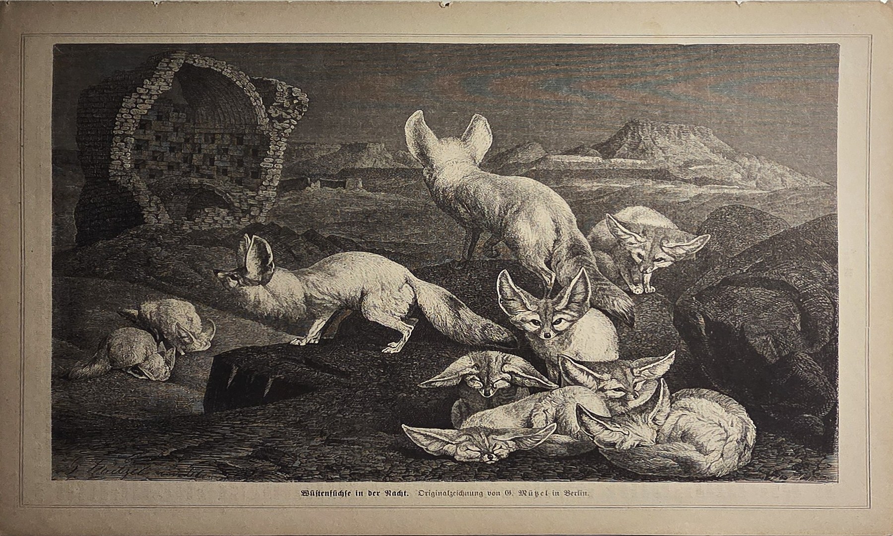 Jagdstillleben mit Hasen und Vögeln