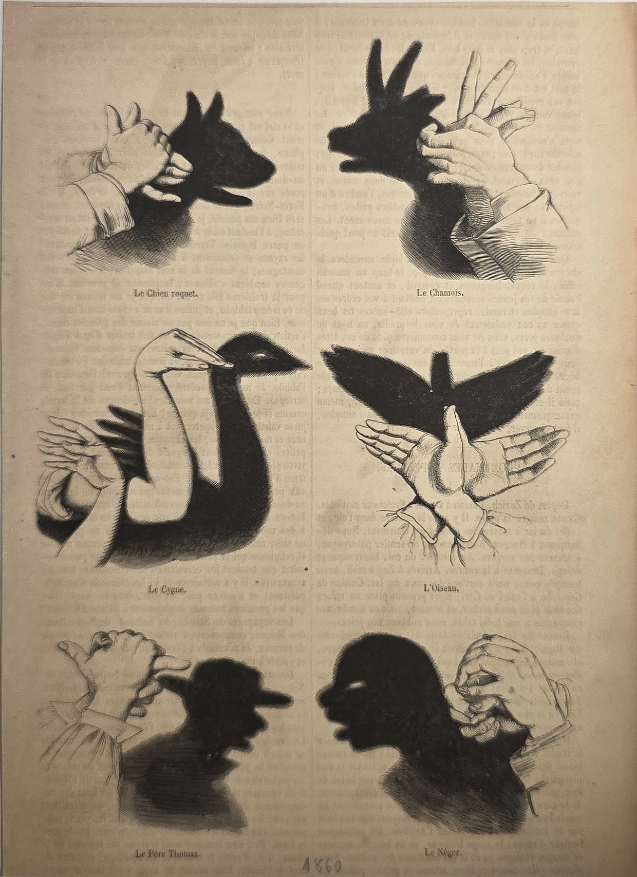Silhouettenstudien mit Händen und Tieren