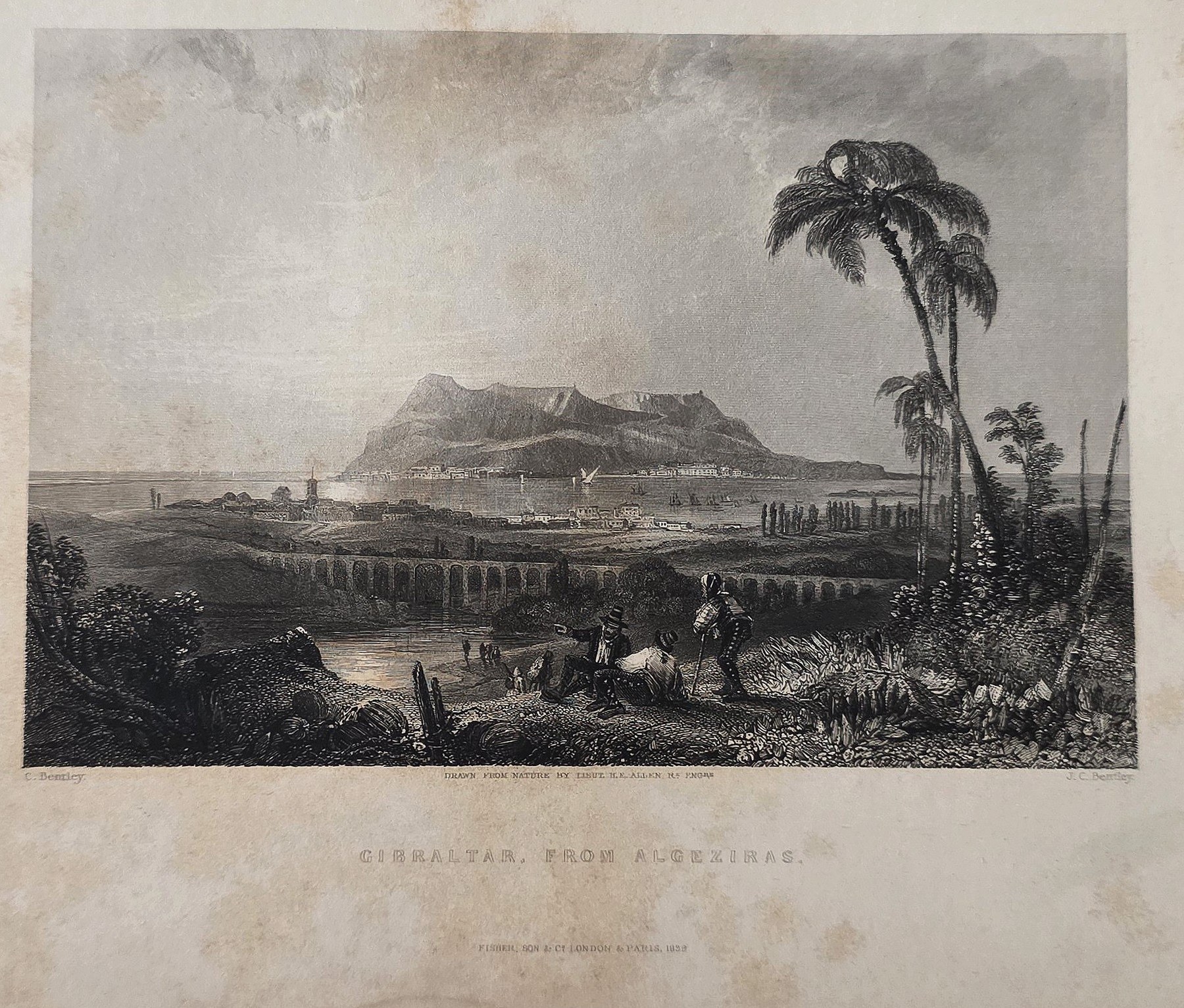 einer exotischen Landschaft mit Palmen