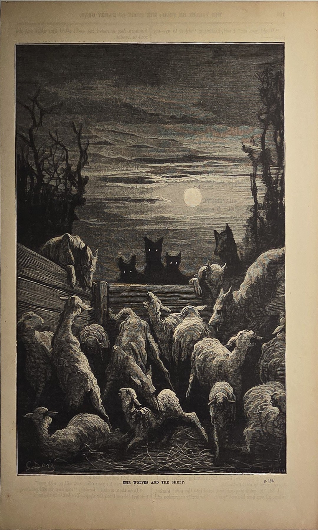 Wolfsrudel bei Mondlicht