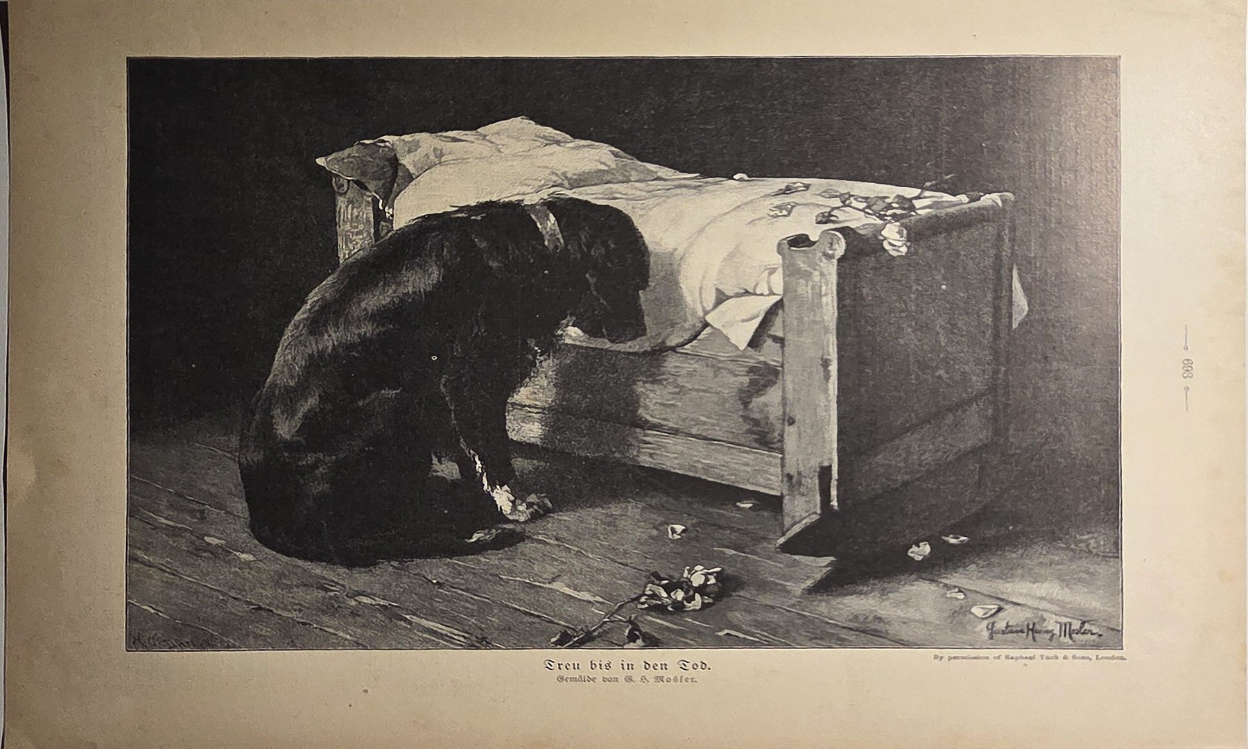 Schlafender Hund neben Kiste und Tuch