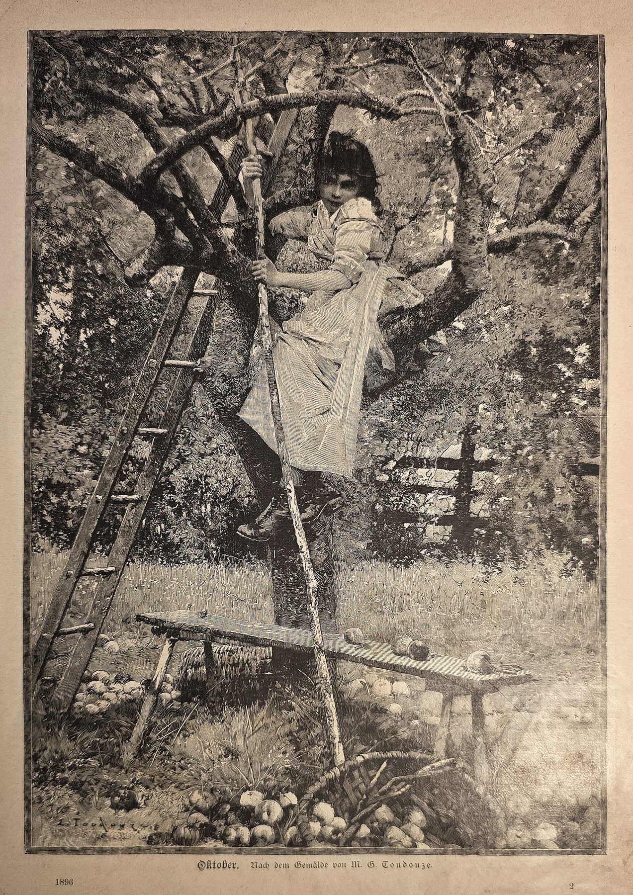 Frau bei der Obsternte