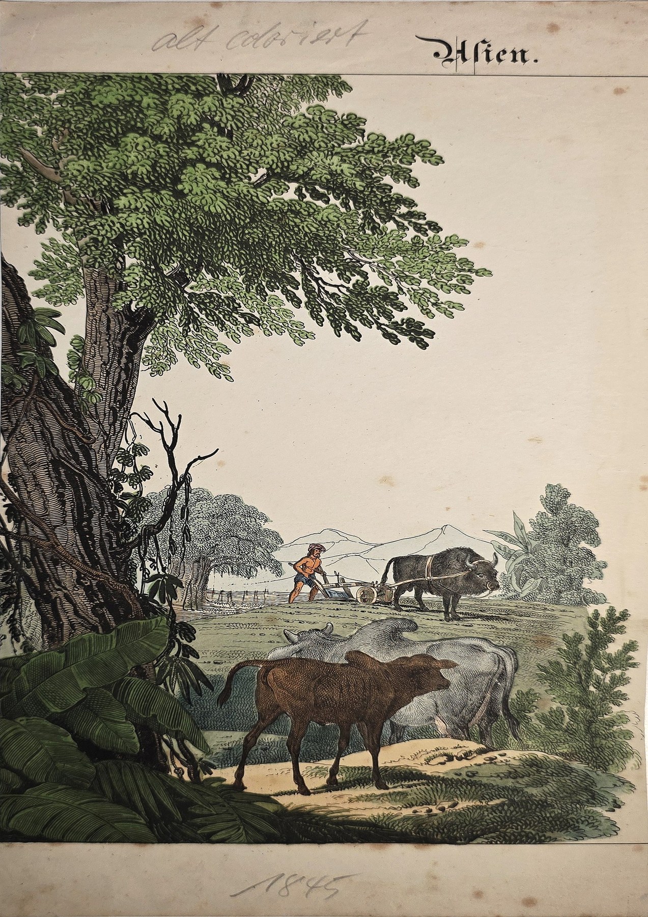 Farbige Landschaft mit Reitern und Baum
