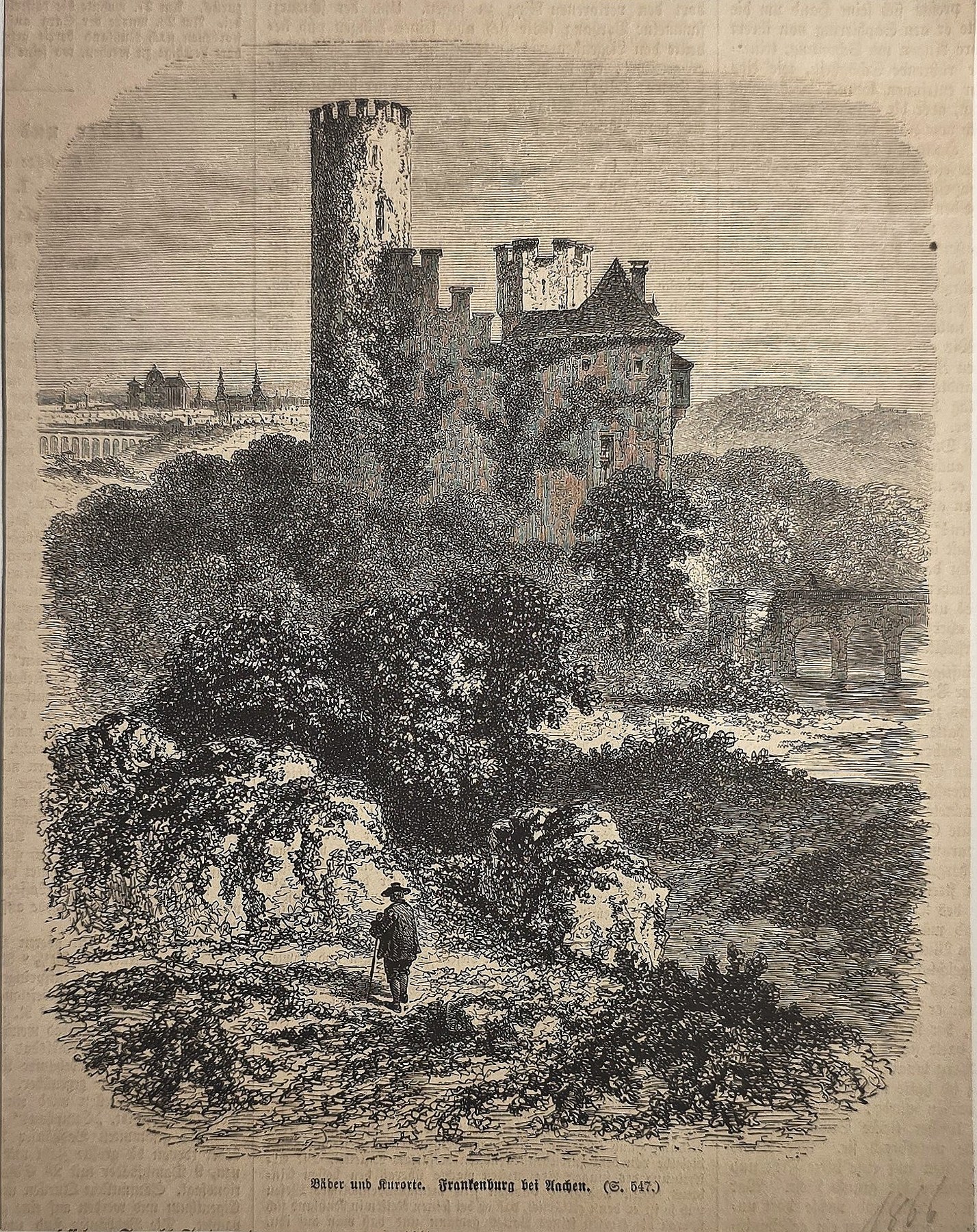 Burgruine über dichtem Gehölz