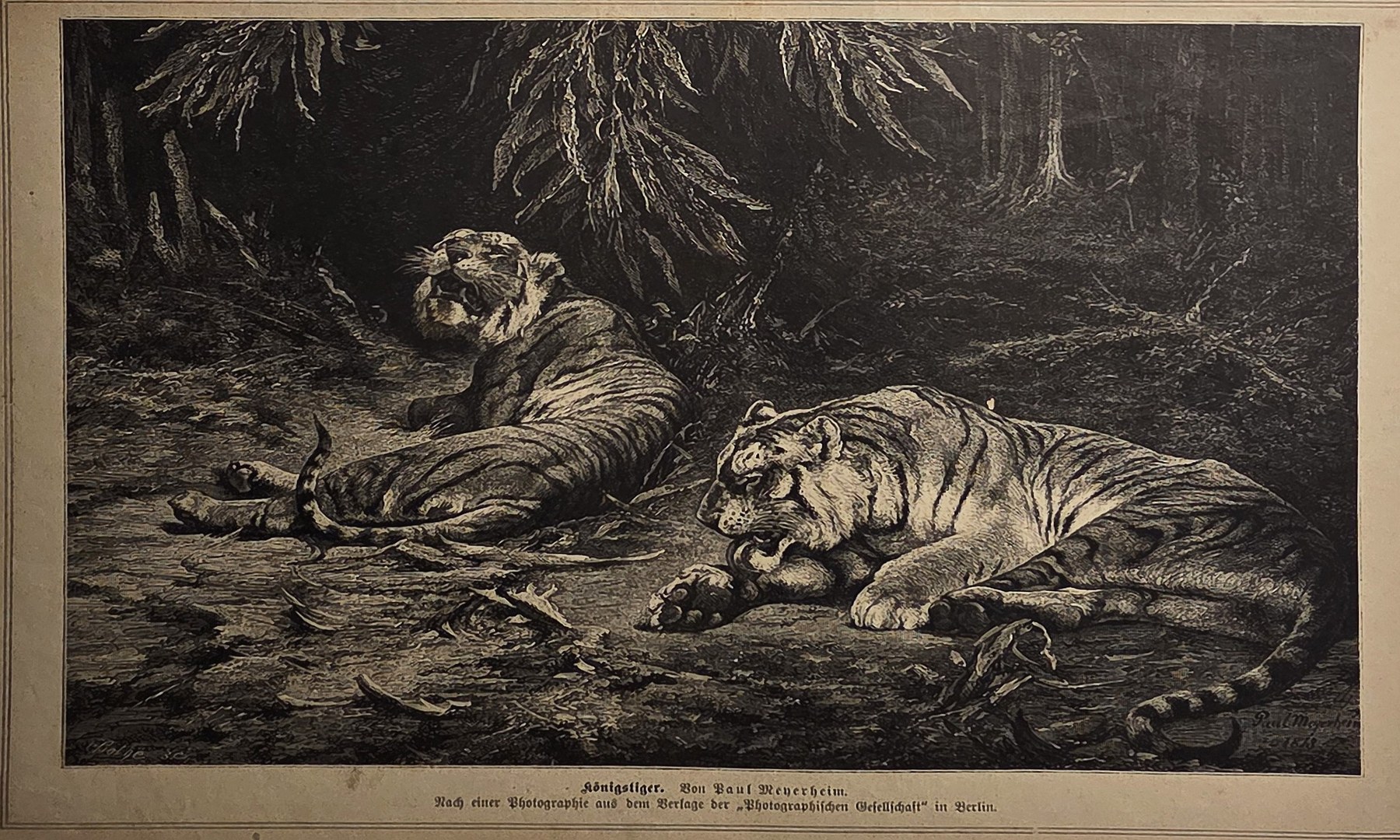 Historische Landschaftsdarstellung – Großkatze mit Jungtieren im Wald
