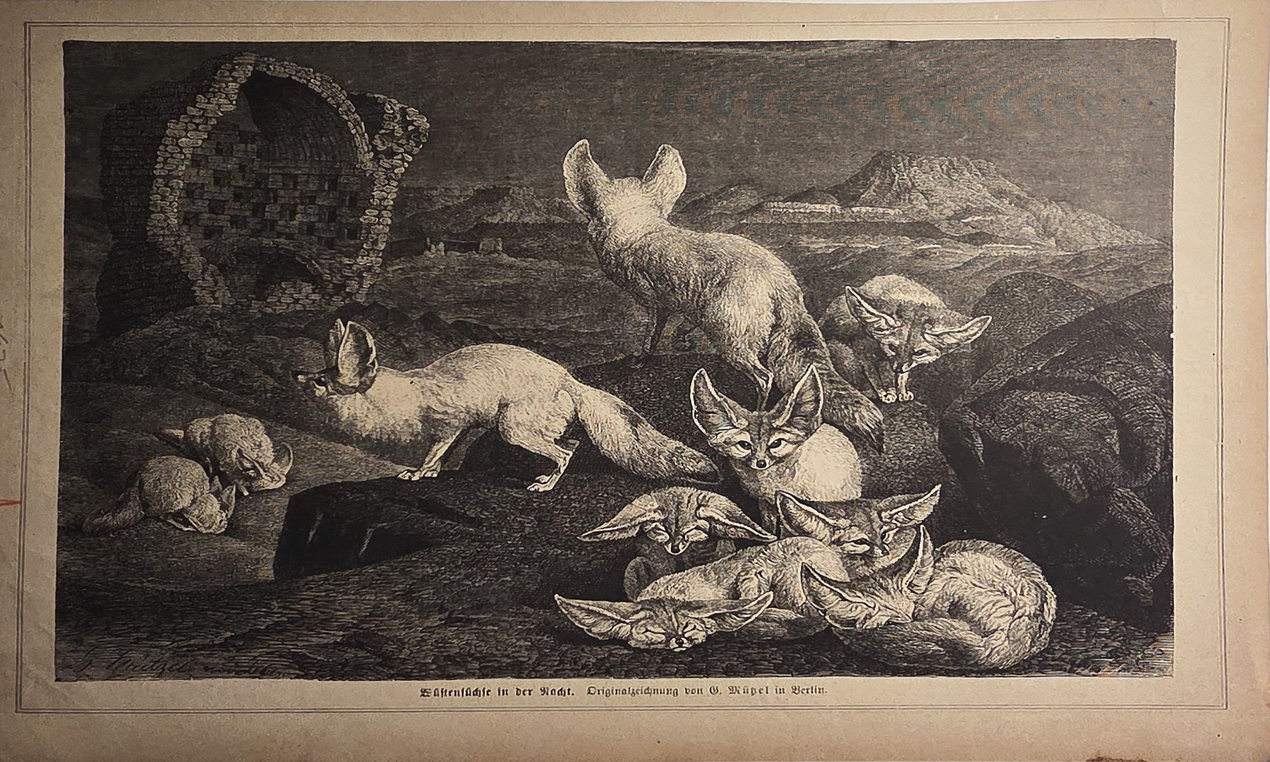 Jagdstillleben mit Hase und Federwild
