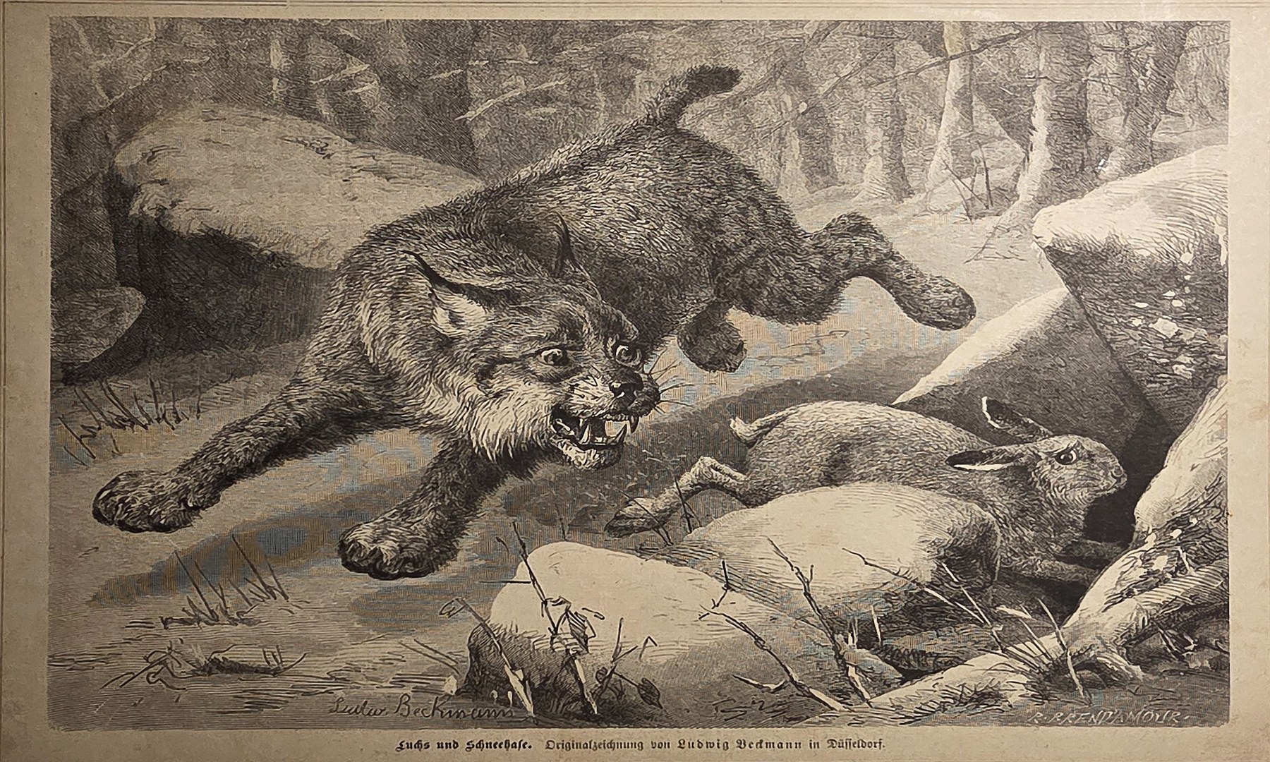 Historische Darstellung – Springendes Wildtier zwischen Felsen und Schnee