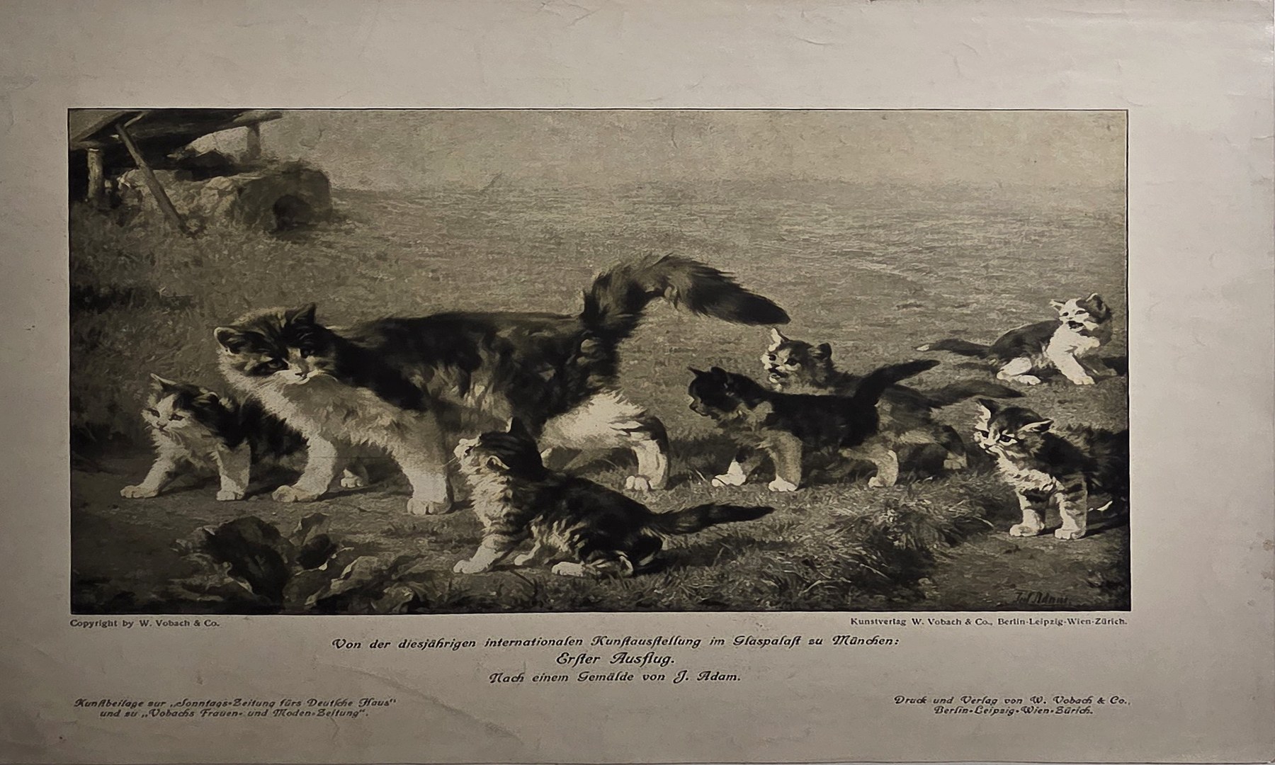 Jagdhunde in schneller Verfolgung