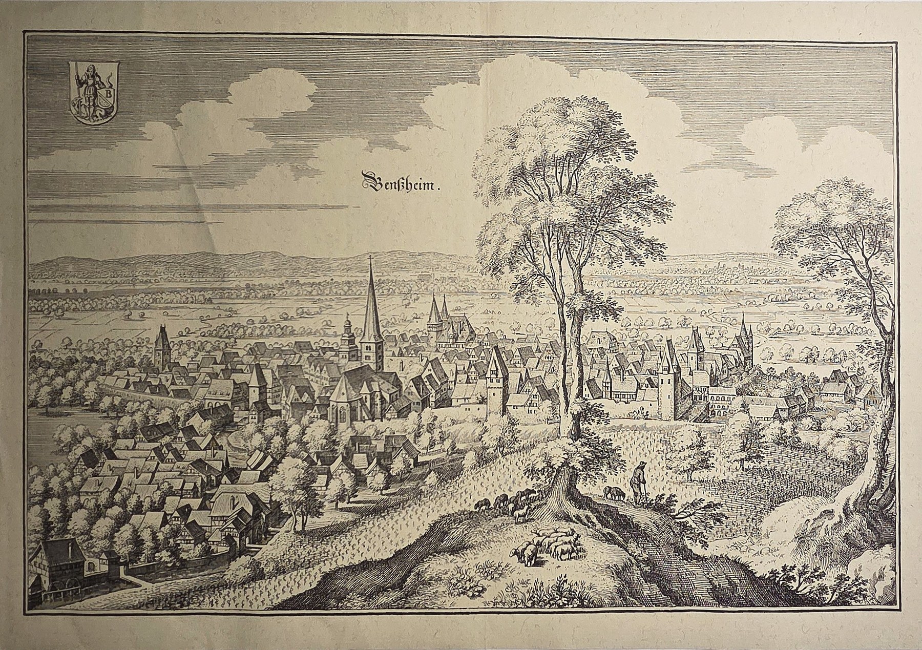 mit weitläufiger Stadtansicht und Baum im Vordergrund