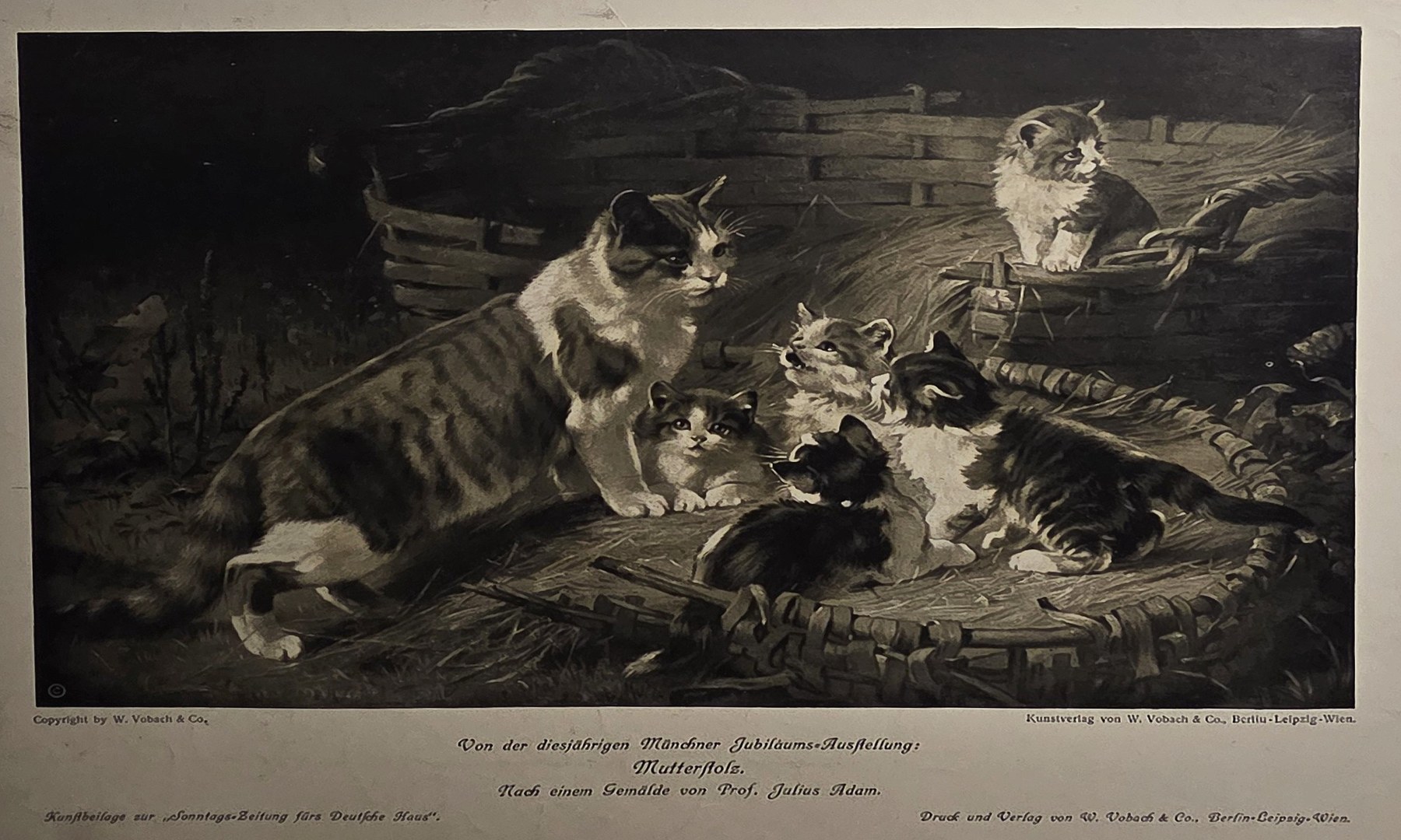Katzen und Jungtiere an einem gefüllten Korb