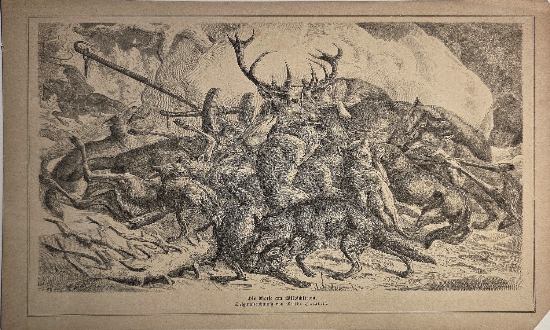 Historische Darstellung – Jagd auf eine Hirschherde