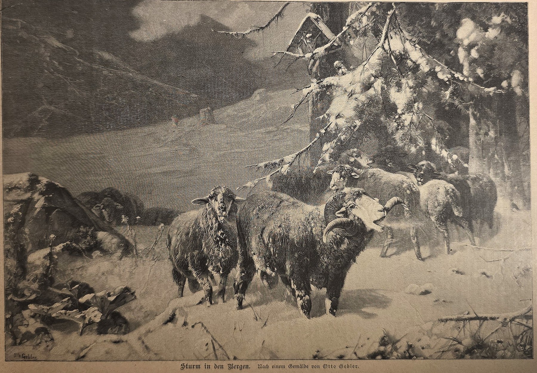 Tierherde im Schneesturm