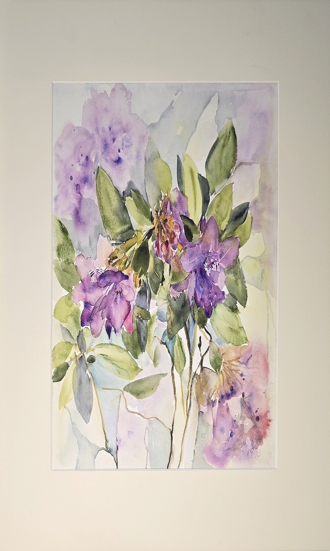 Historische Darstellung – Violette Irisblüten mit langen grünen Blättern