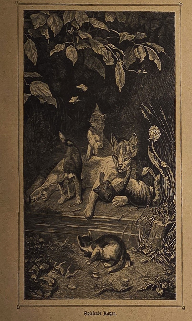 Historische Darstellung – Katzenfamilie unter dichtem Laub