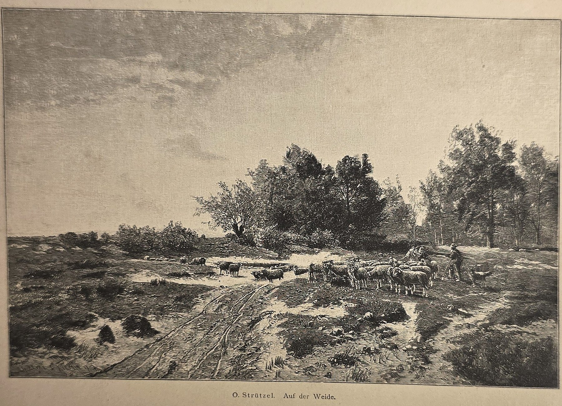 Flusslandschaft mit Baumgruppen