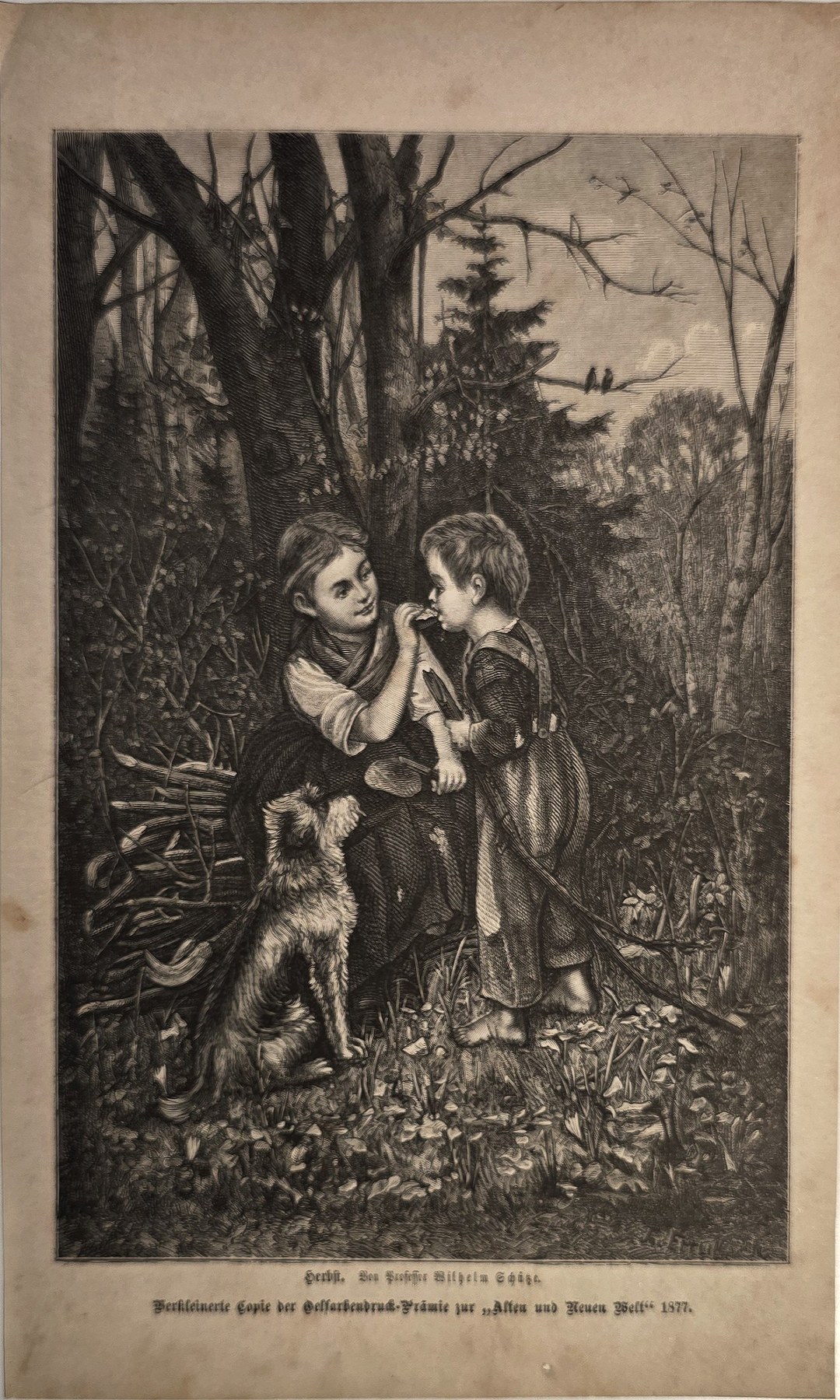 Zwei Kinder im Wald