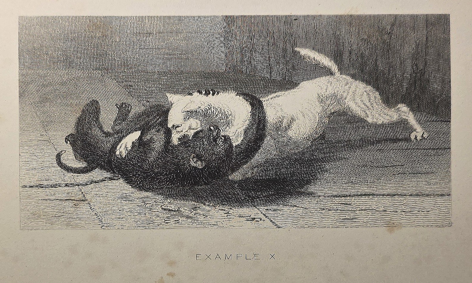 Historische Darstellung – mit zwei spielenden Hunden in lebhafter Bewegung