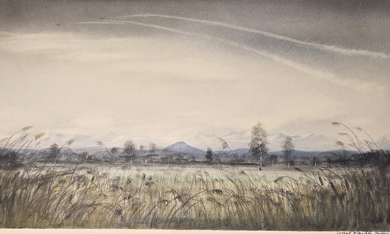 Aquarell mit Schilfebene und ferner Bergkette