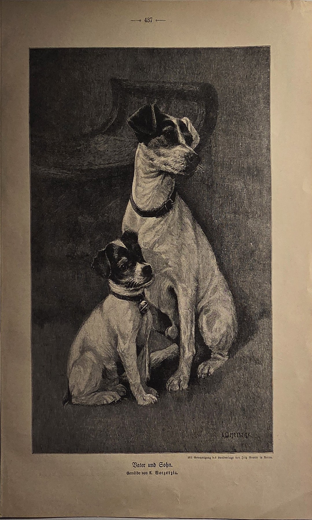 Zwei Hunde in aufmerksamer Pose