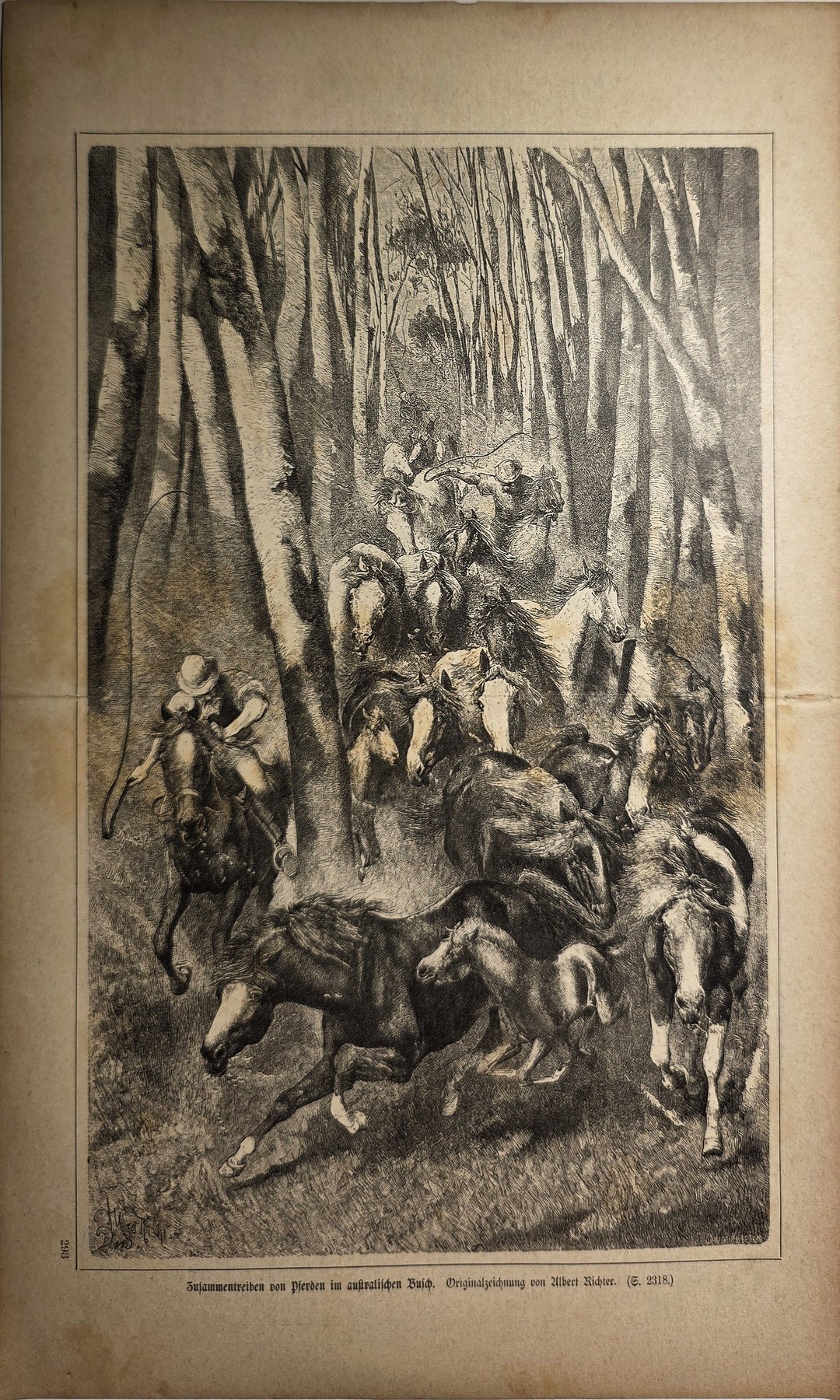 Reitergruppe im dichten Wald