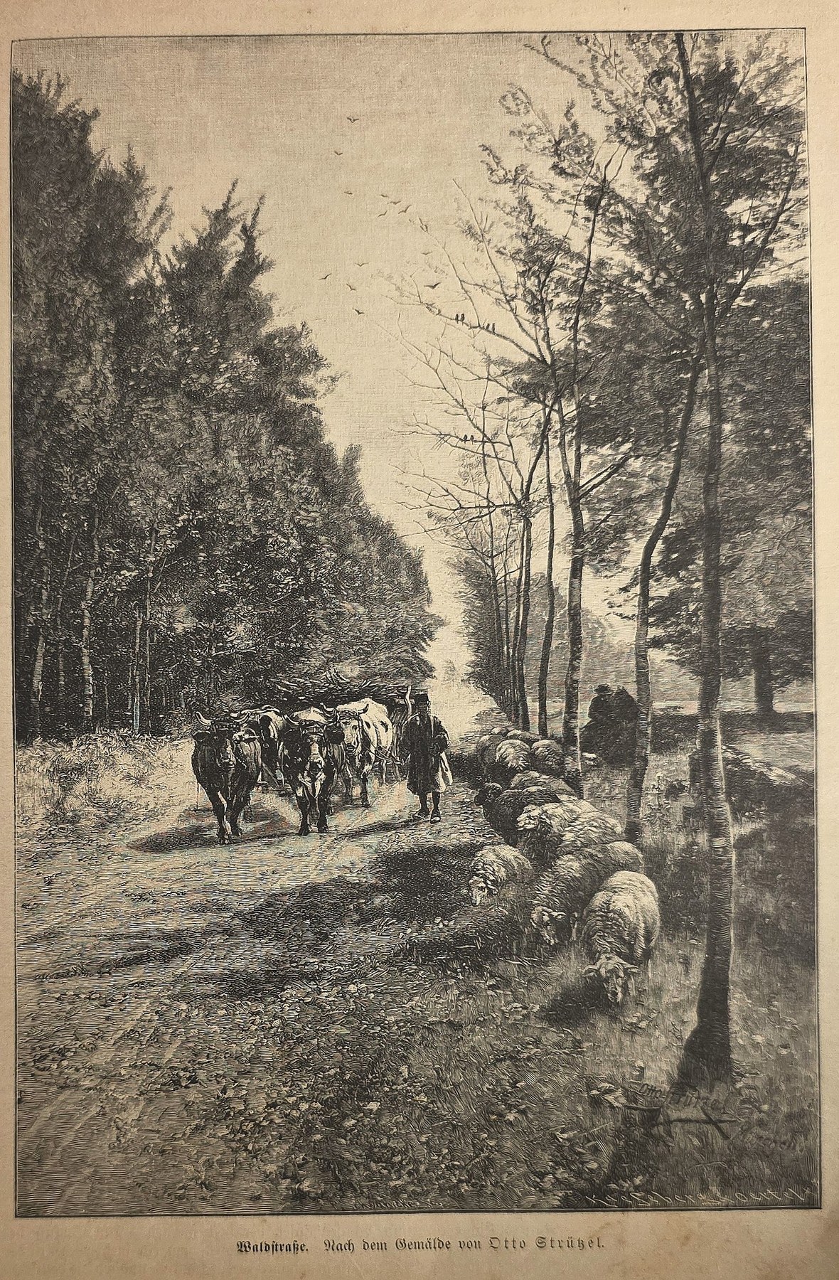 Herde auf einem Waldweg