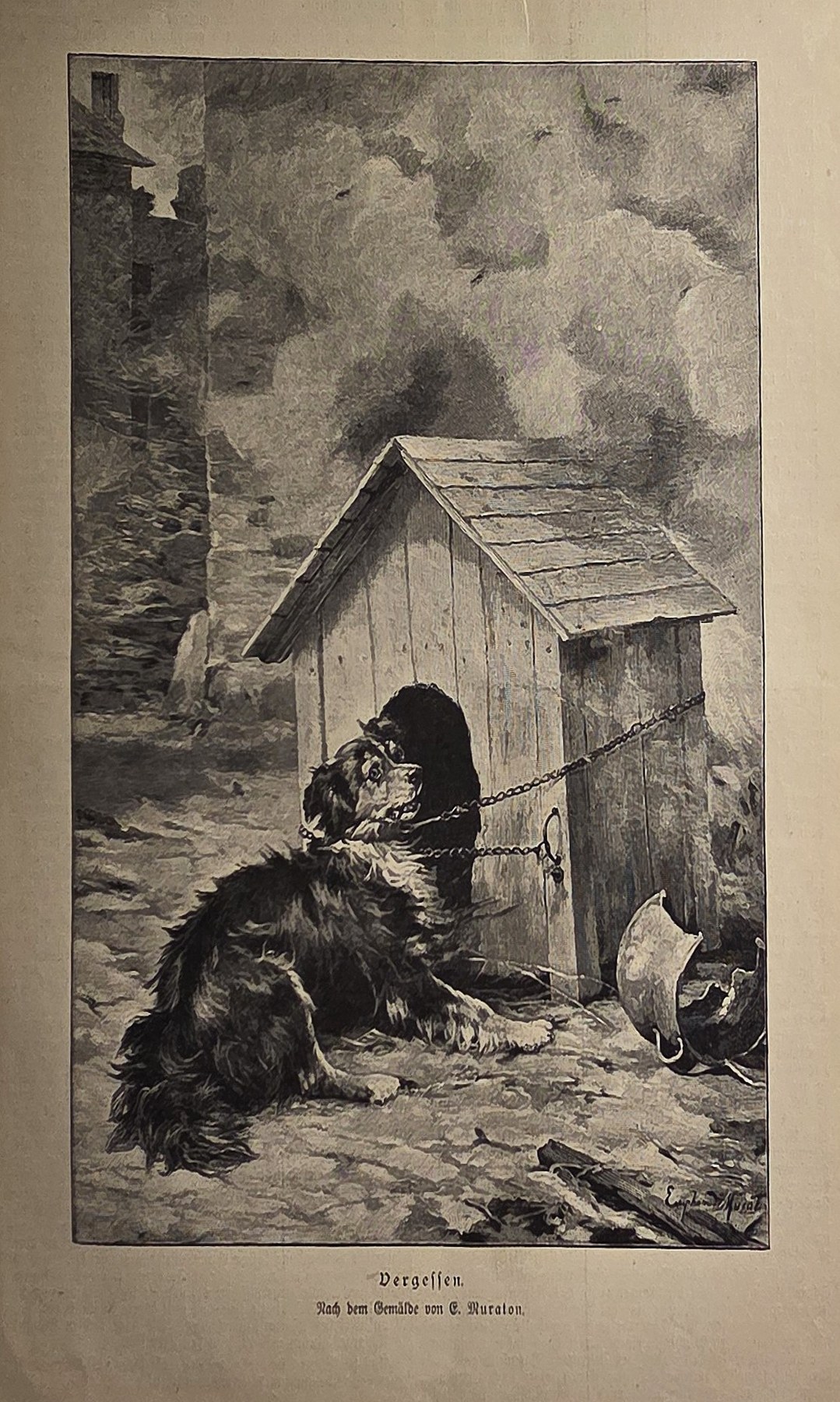 Hund vor einfacher Hundehütte