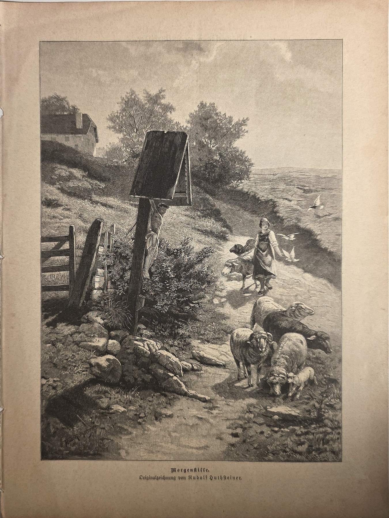 Schafherde am Zaun