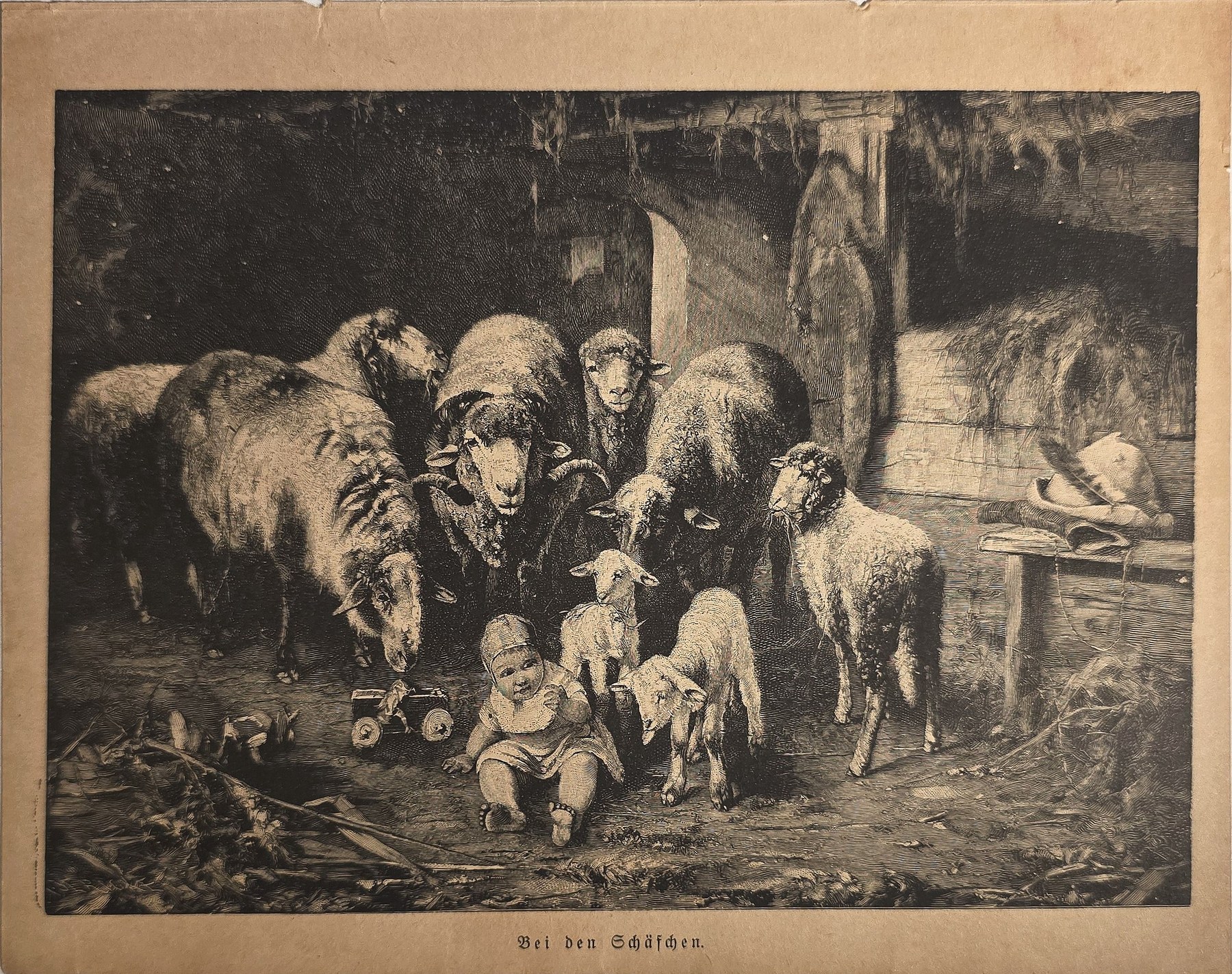 Schweine und Ferkel im Stall