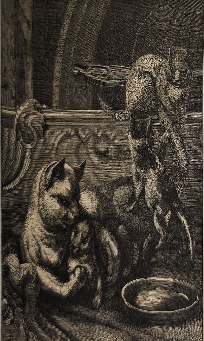 Zwei Hunde an einer Schale