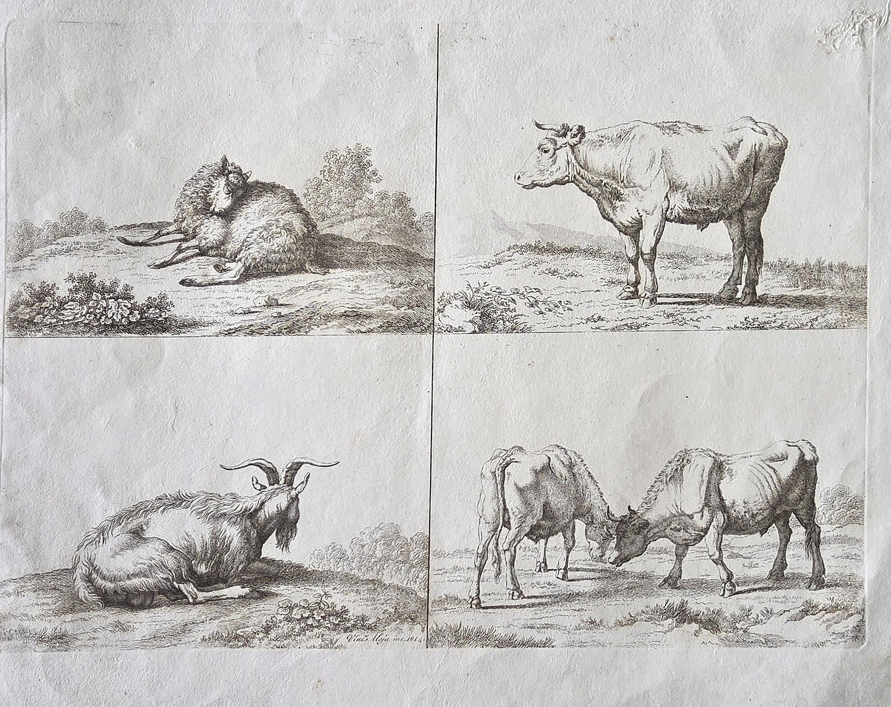 Historische Darstellung – Vier Tierstudien mit Rindern und Ziegen