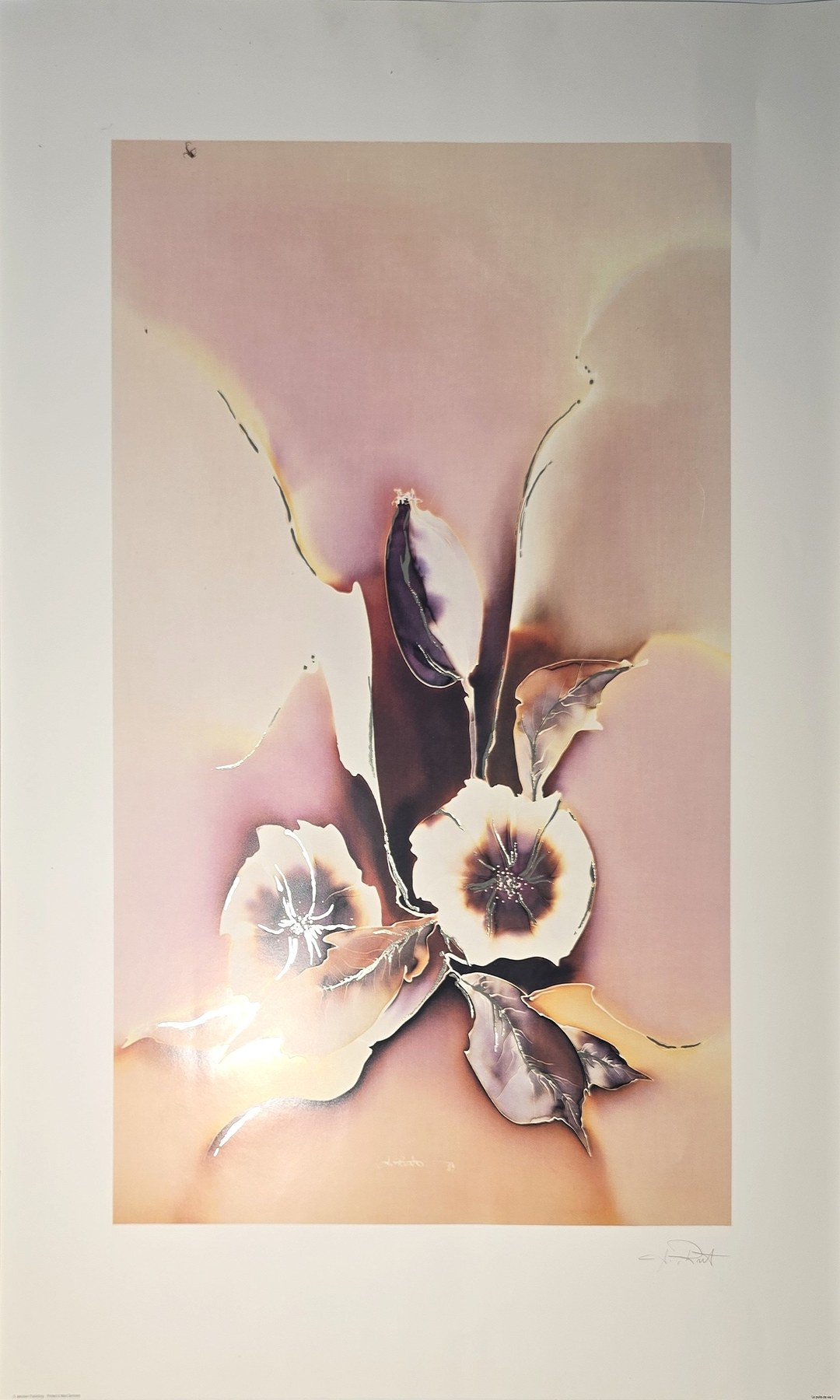 Große Blüte in Rosa, Braun und Creme