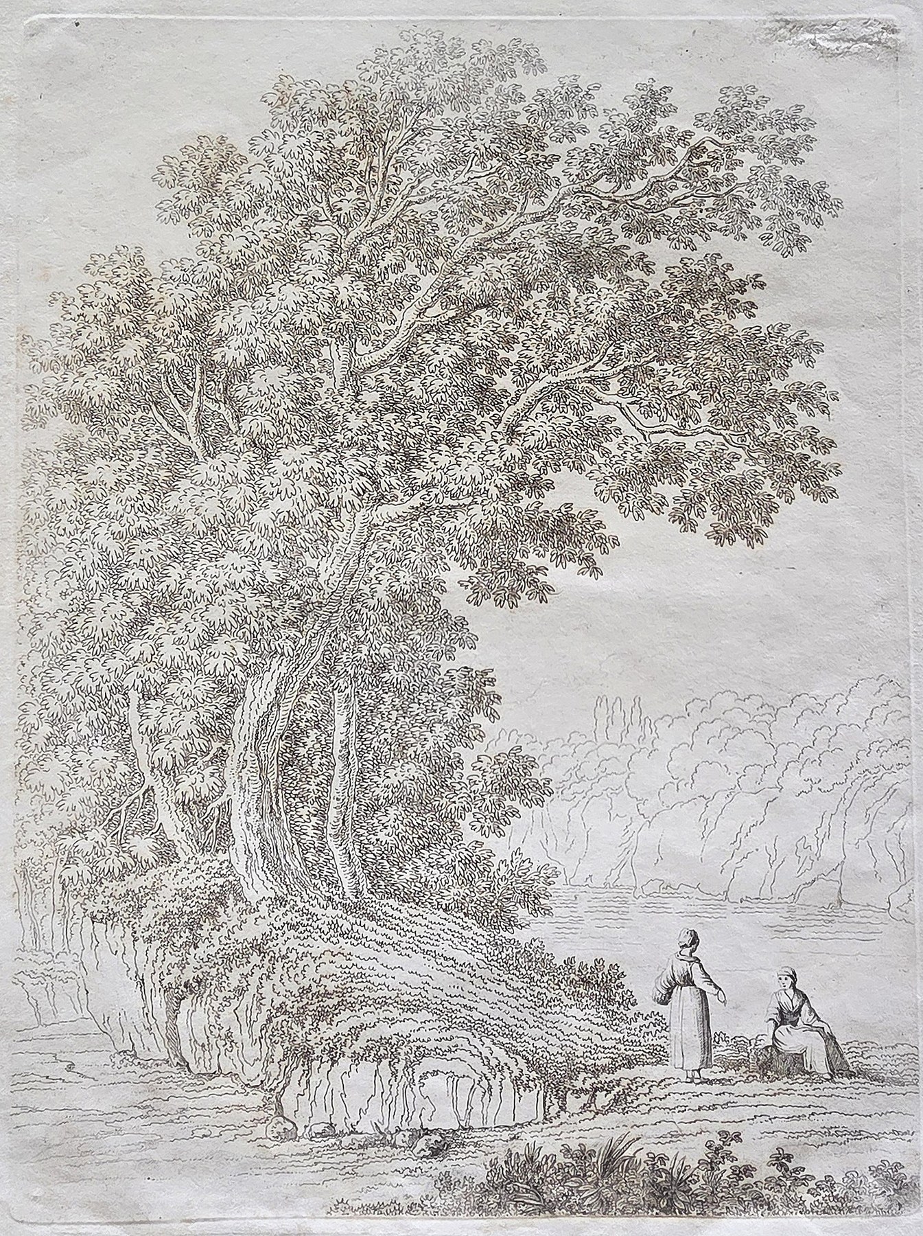 Breit ausladender Baum an einem Feldweg