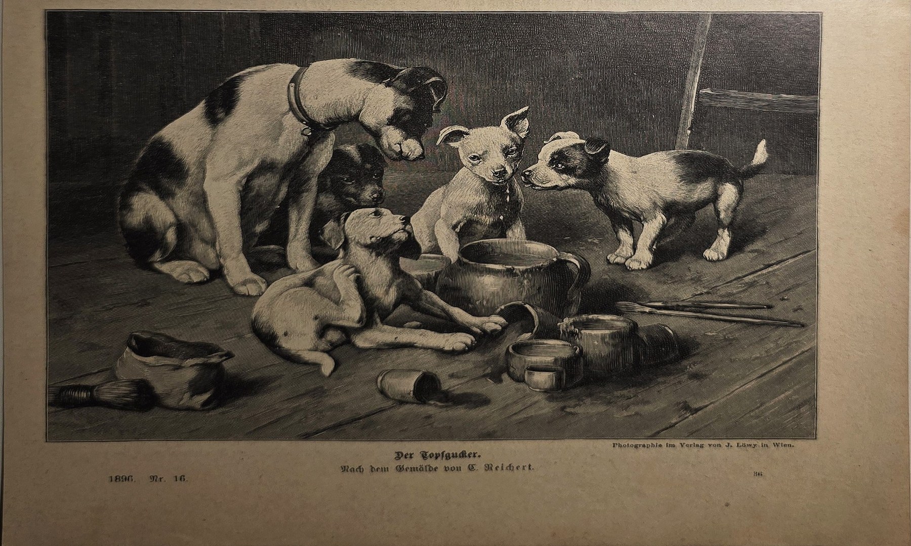 Schwein mit Ferkeln an einer Futterschale