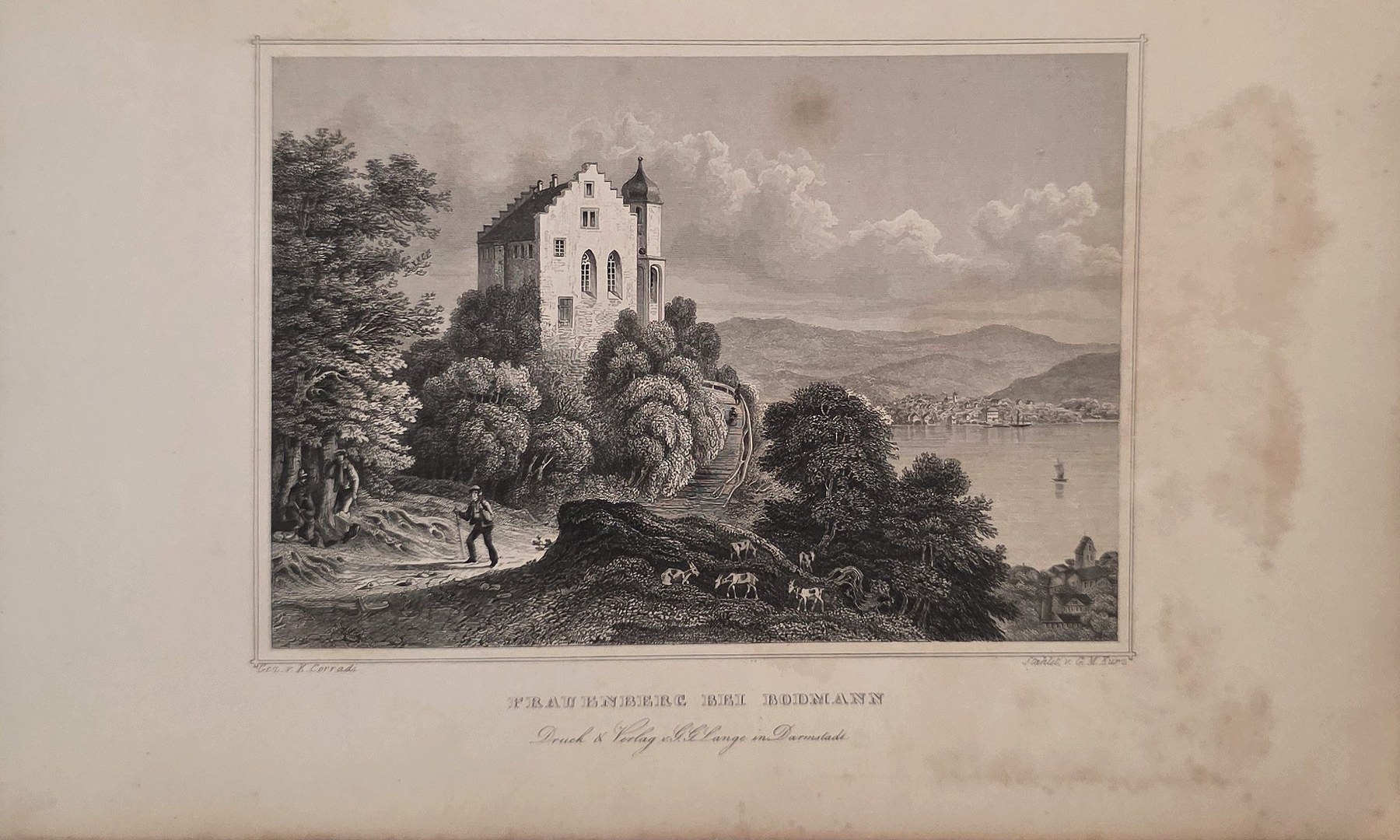 Burganlage auf bewaldeter Anhöhe