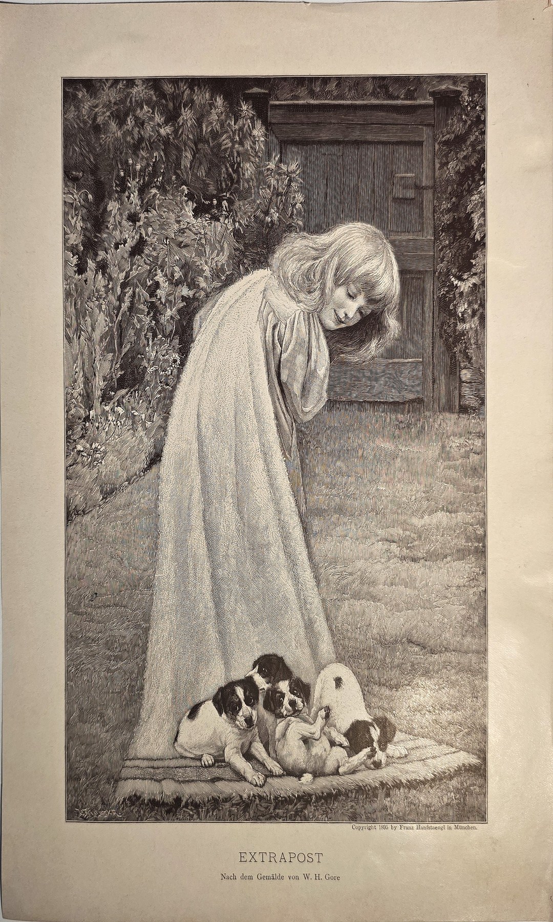 Mädchen mit kleinen Hunden