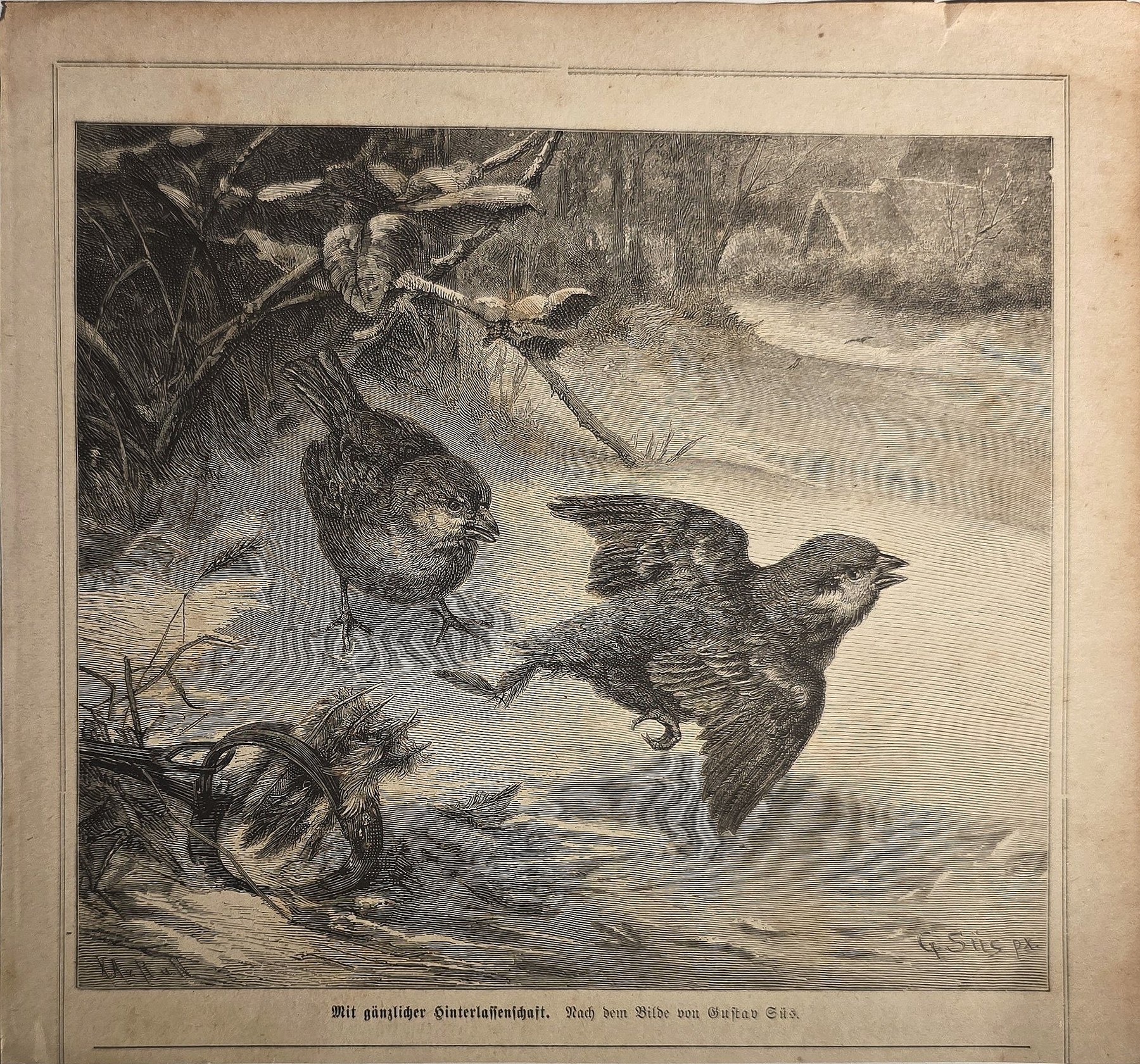 Auffliegende Vögel in winterlicher Landschaft
