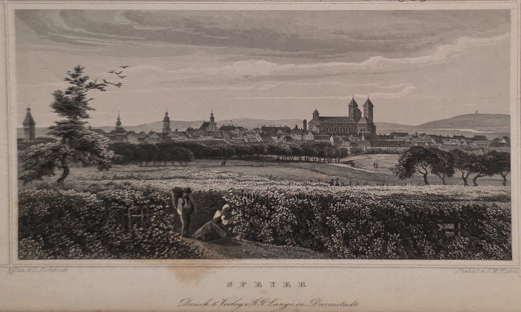 Weites Stadtpanorama hinter Feldern