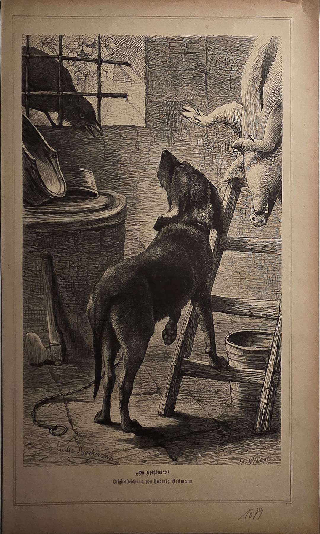 Hund an einer geöffneten Tür