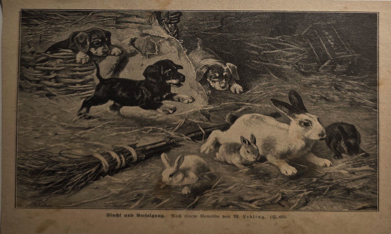 Hunde bei der Jagd auf ein flüchtendes Tier