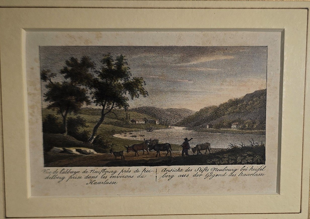 Gerahmte Flusslandschaft mit Baumgruppen