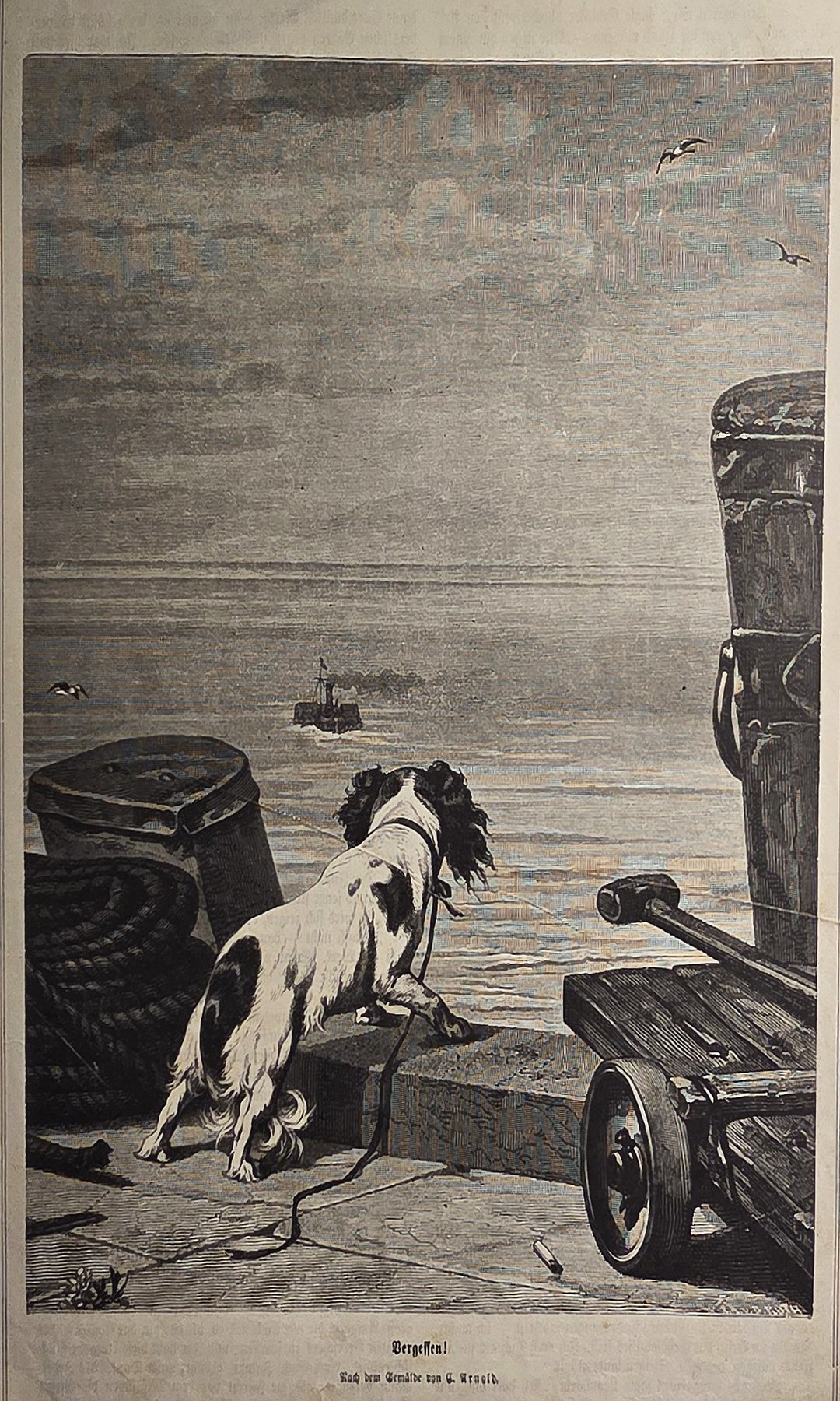 Hund am Ufer neben Wagenrad