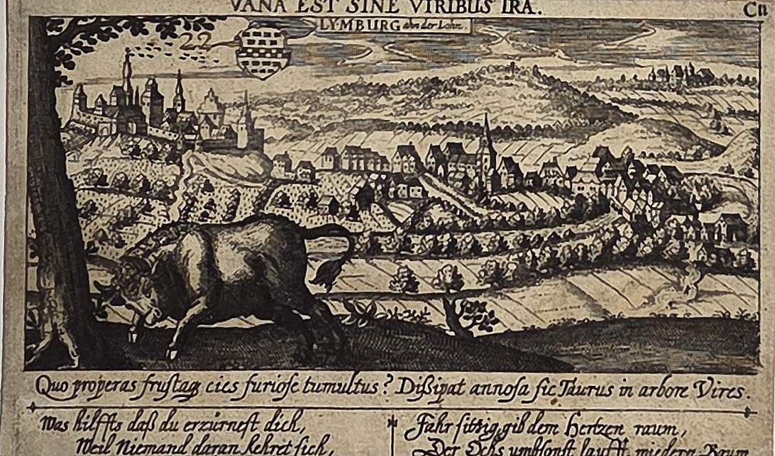 Historische Ortsdarstellung – Topografische Landschaft mit Stadt, Feldern und Symboltier